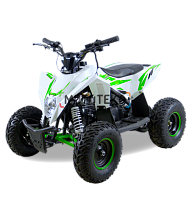 Квадроцикл детский Motax (Мотакс) GEKKON 90 (машинокомплект) белый/зеленый (машинокомплект)